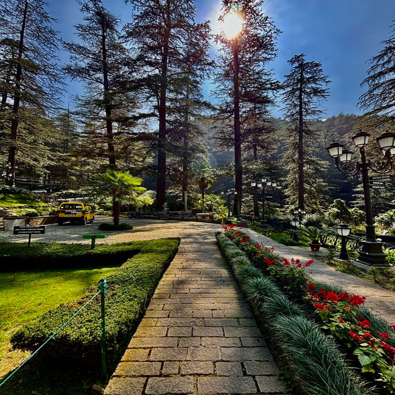 gallery-image